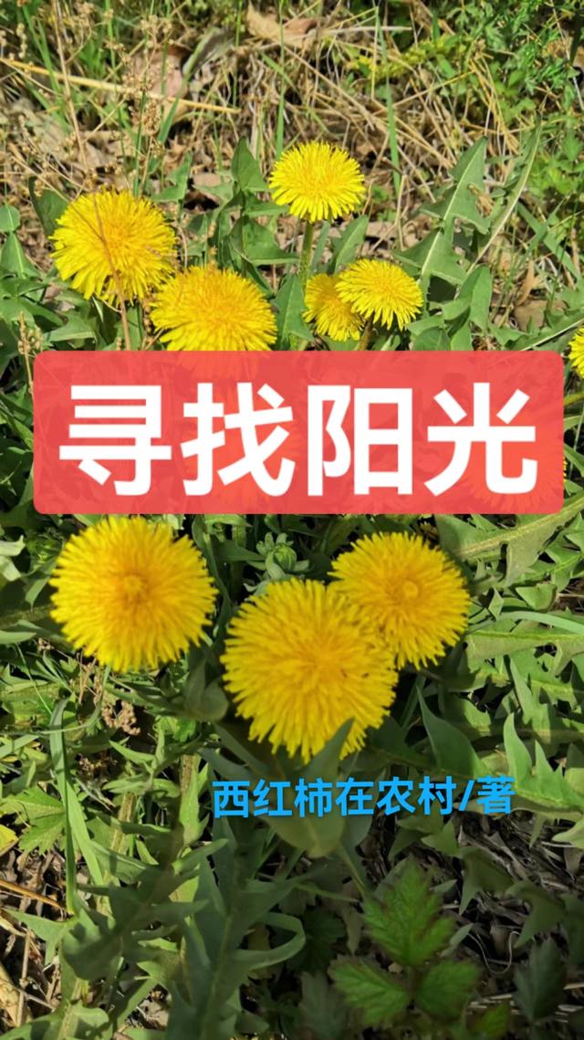 练气百年，我成NPC了？